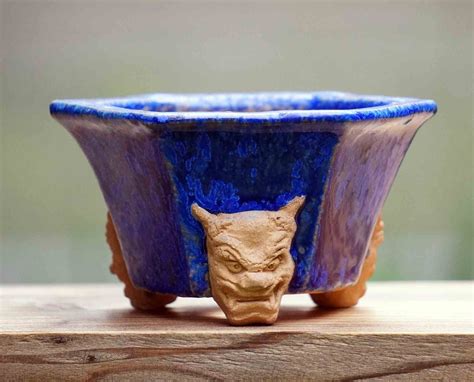 To have a bonsai, the tree and pot must complement each other and become one before it can be a true bonsai. For Your Small Japanese Garden by YUKIMONO: The reason you ...
