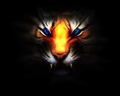 Angry Tiger Wallpapers Wallpaper Cave