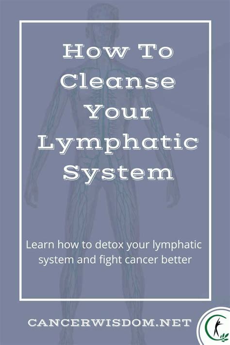 How To Cleanse The Lymphatic System Cancer Wisdom Detox Lymphatic