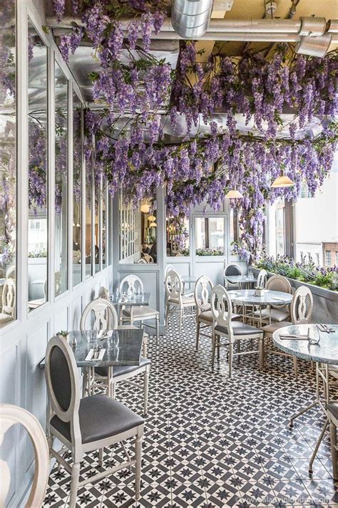 Beautiful Strands Of Purple Wisteria Hanging From The Ceiling Of