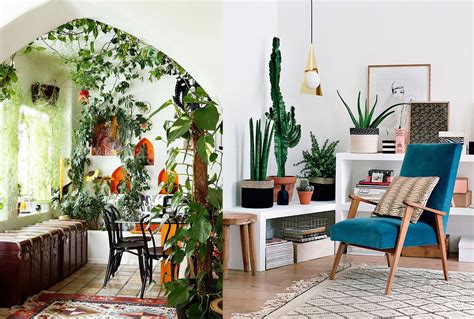 Primeramente para que empieces con la decoración de tu sala con plantas, es necesario que analices perfectamente cuales son las. 17 ideas para decorar tu sala de estar con plantas en esta primavera