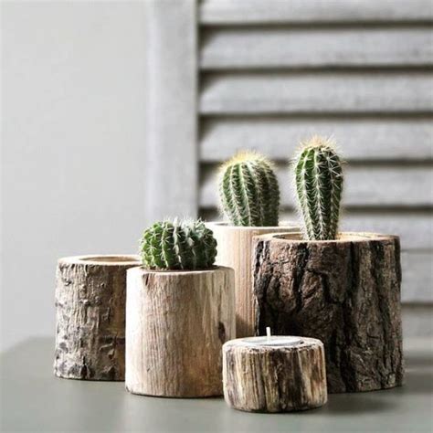Small Cactus To Decorate The House 22 Creative Diy Ideas