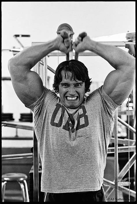 Arnold Bodybuilding Arnold Schwarzenegger Bodybuilding Bodybuilding