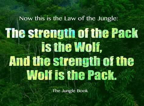 Survive like a movie (1st half), go round the gods' garden taveuni (2nd half). The Law of The Jungle | ChiroUp