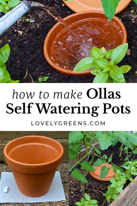 The Basic Premise To Creating A Diy Olla Is Simple Close The Hole At