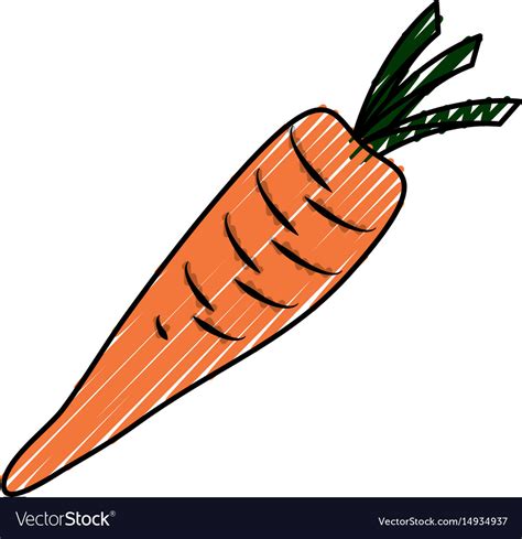 Delicious And Fresh Carrot Royalty Free Vector Image