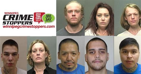 Have You Seen These People Winnipegs Most Wanted Winnipeg