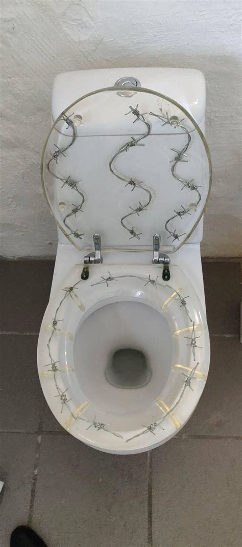 Cursed Toilet Rcursedimages