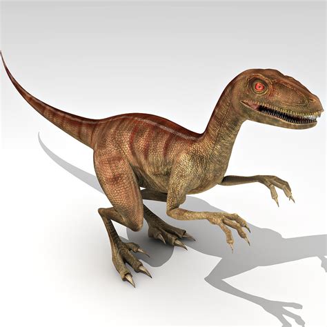 Velociraptor 3d Model Images