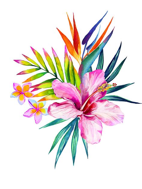 Tropical Flower Drawing Free Download On Clipartmag
