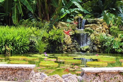 Fairchild garden | exploring, explaining and conserving the world of tropical plants. A Miamian's Review of Fairchild Tropical Botanic Garden ...