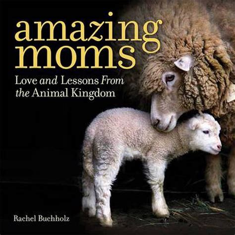 Amazing Moms Love And Lessons From The Animal Kingdom By Rachel