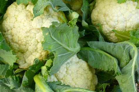 Cauliflower Recipes From Nashs Organic Produce