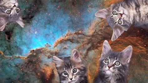 Cats In Space Internet Video Pokes Feline Fun At Cosmic Photos Space