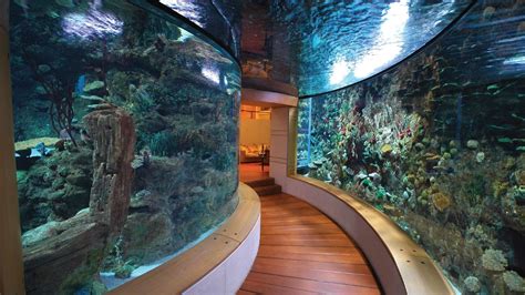 Inside Aquarium Mansion Inside Aquarium Bill Gates House Unbeliefe