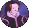 Katherine Willoughby's Life & Henry VIII's Last Love By David Baldwin ...