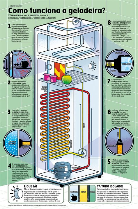 Breaks down proteins into amino acids. How does the refrigerator work? - Visualoop