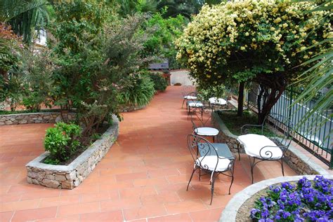 Le 5 piante perfette per i terrazzi e giardini assolati. Piante da terrazzo, come organizzarle? - Il verde