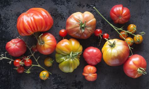 Whats In Season Tomatoes Paula Deen