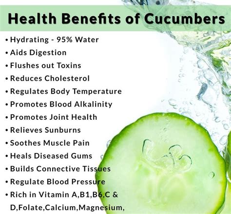Did You Know That Cucumbers Regulate Body Temperature Cucumber