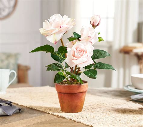 Real Touch Potted Rose Plant By Valerie
