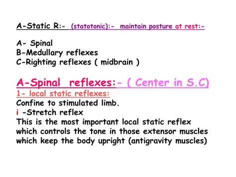 Ppt Postural Reflexes Powerpoint Presentation Free Download Id9574106