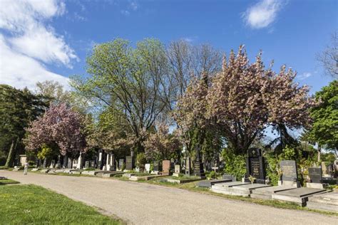 View To Vienna Central Cemetery Editorial Photo Image Of Bones