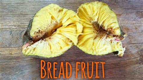 Denby Fawcett Breadfruit Can Feed A Hungry World