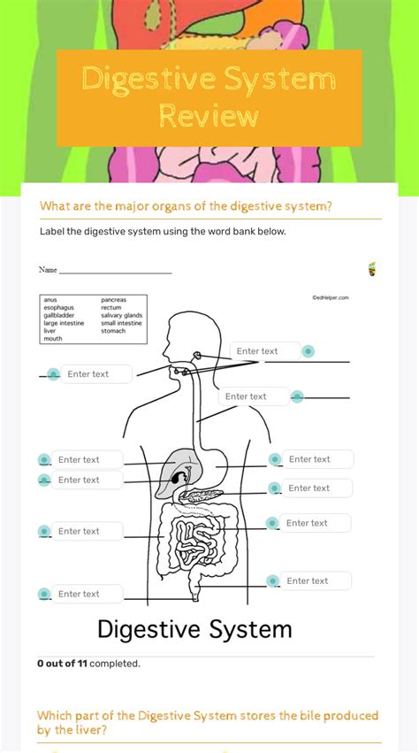 Digestive System Worksheet Th Grade