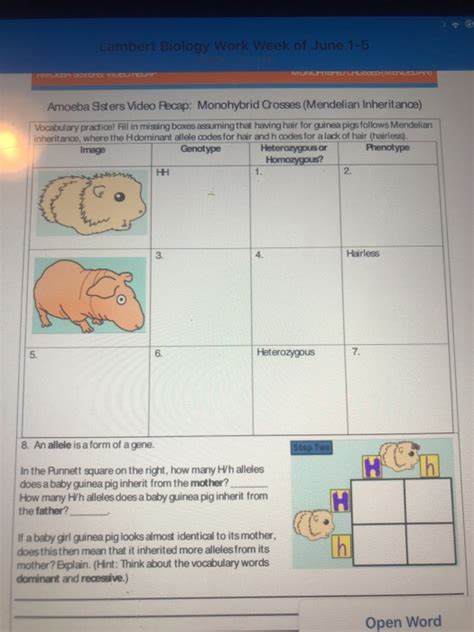 We have a general unlectured series video (above) so you can get an idea of the general sequence of items found in our unlectured series topics. Amoeba Sisters Monohybrid Worksheet Answers / Monohybrid Crosses Recap Answer Key By The Amoeba ...