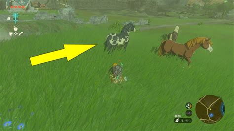 How To Ride Horses Zelda Tears Of The Kingdom Wiki Guide