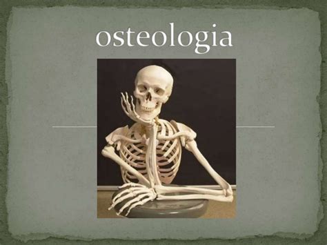 Osteologia E Artrologia Pdf Anatomia Osteologia E Artrologia Sistema