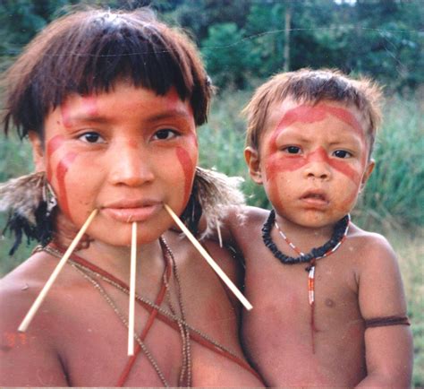 Brazilian Indigenous Peoples Confront Double Threat of COVID-19 and ...