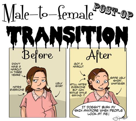 Phases Of Trans Meme