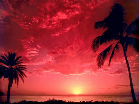 Pin by profile on Red scarlett | Sunsets hawaii, Sunset, Sunset nature