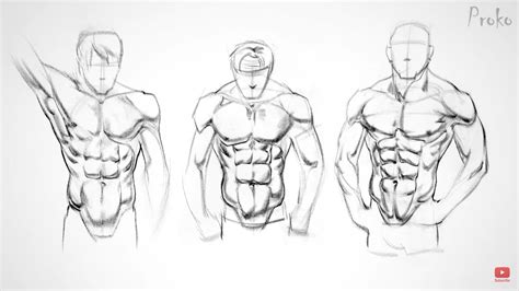 How To Draw Abs Anatomy By Proko Drawing Technique