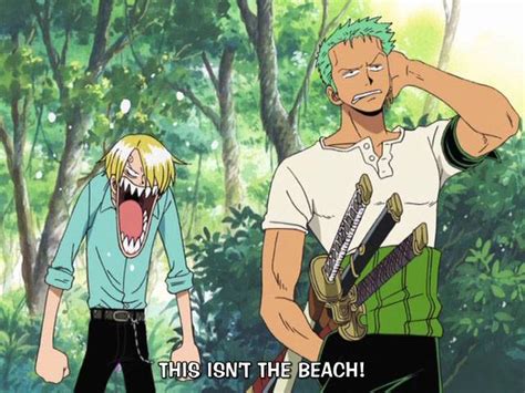 All The Sanji And Zoro Fans