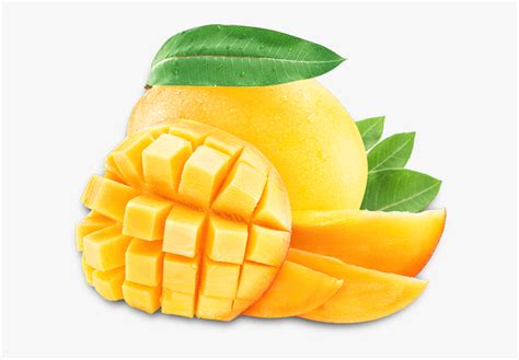 For boys and girls, kids and adults, teenagers and toddlers, preschoolers and older kids at school. Mango Png Image & Mango Clipart - Mango Png, Transparent ...