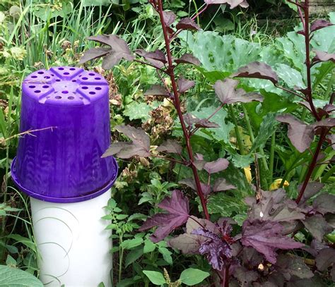 Worm Towers A Quick And Easy Way To Turn Food Waste Into Garden