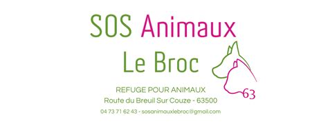 Sos Animaux Le Broc 63 Home