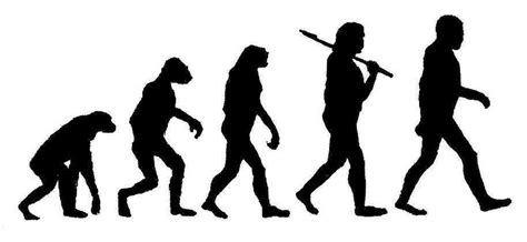 Darwin Clipart Celebrate The Father Of Evolution In Your Designs