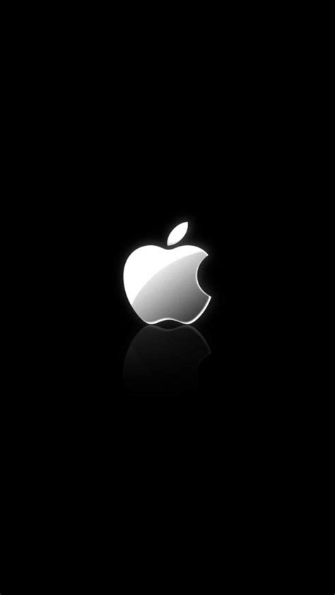 Iphone 5 Apple Logo 7989 The Wondrous Pics