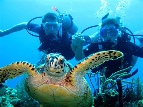 Learn to dive with padi: Diving Roatan, Honduras: West End Divers