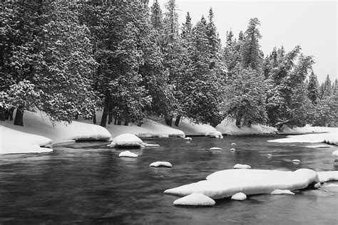 Free Download River Water Snow Cold Winter Trees Forest Woods