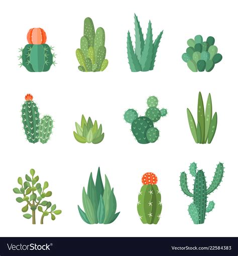 Cartoon Cactus And Succulents Cartoon Set Vector Image