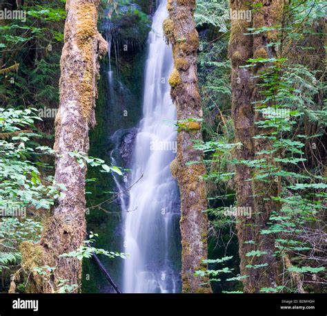 Mountain Waterfall Surrounded By Trees Stock Photo Alamy