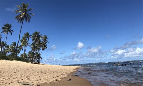 As 5 Melhores Praias De Praia Do Forte Como Chegar O Que Esperar Fotos