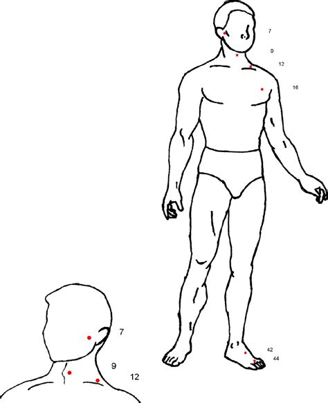 Free Pressure Point Chart Pdf 1344kb 16 Pages Page 5