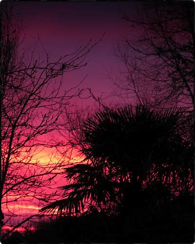 Chilly Sunrise Steve Braund Flickr