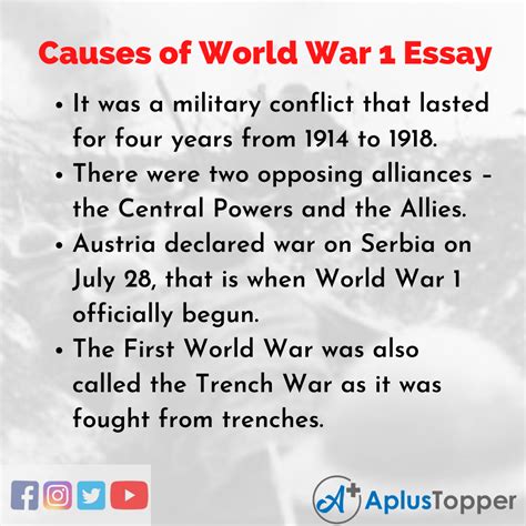 Causes Of World War 1 Essay Essay On Causes Of World War 1 For